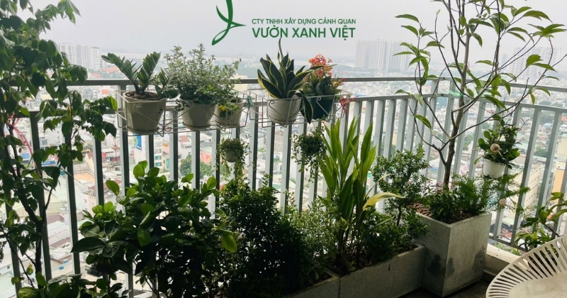 Vì sao lựa chọn Vườn xanh Việt  để thiết kế ban công