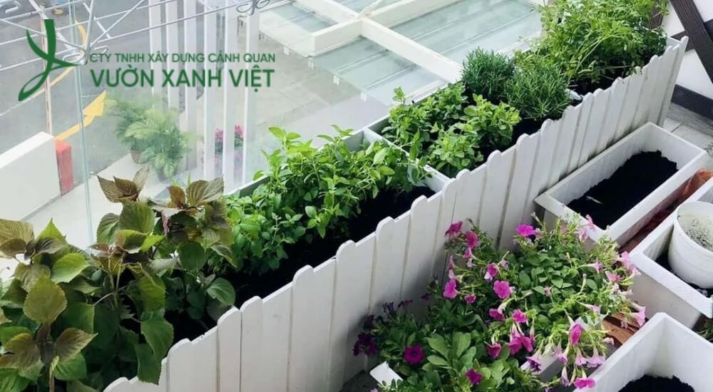 Vườn Xanh Việt còn cung cấp dịch vụ bảo dưỡng định kỳ