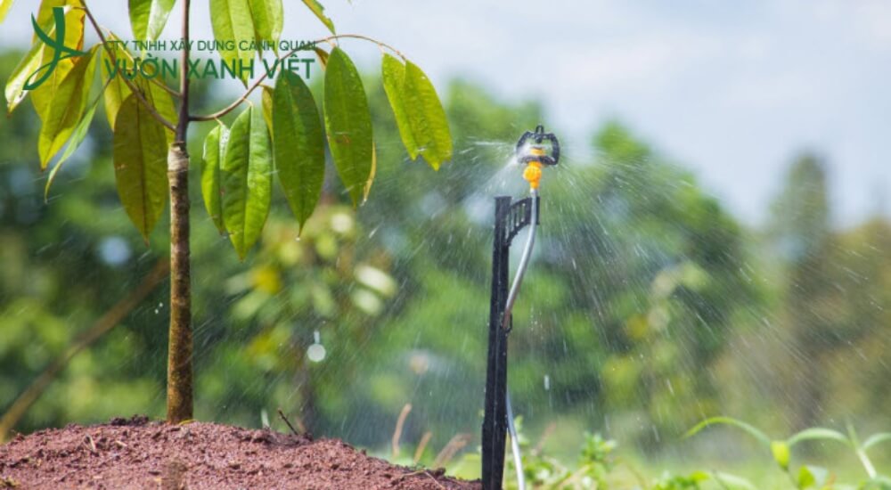 Quy trình tư vấn và lắp đặt hệ thống tưới tự động