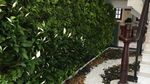 Thi Công Tiểu Cảnh Cầu Thang Tại Vườn Xanh Việt Như Thế Nào?