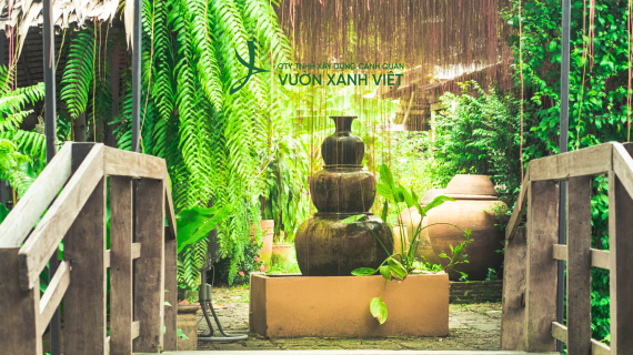 Thiết Kế & Thi Công Cây Phong Thủy