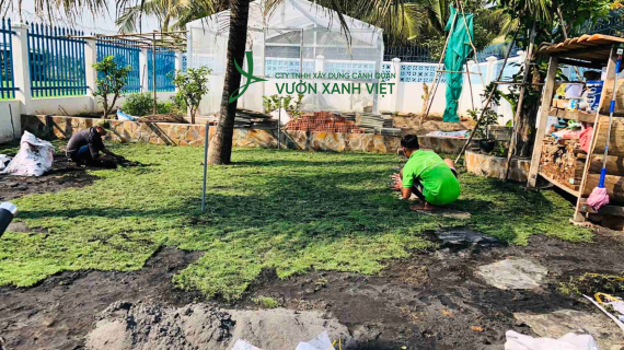 Thiết Kế & Thi Công Trồng Cây Ăn Trái