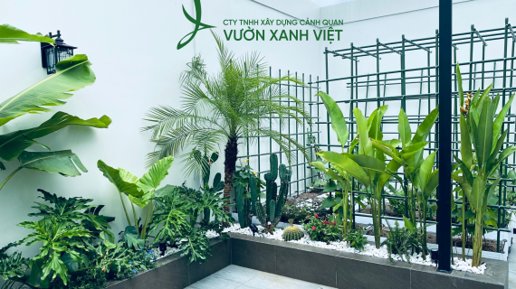 Thiết Kế & Thi Công Sân Vườn, Biệt Thự