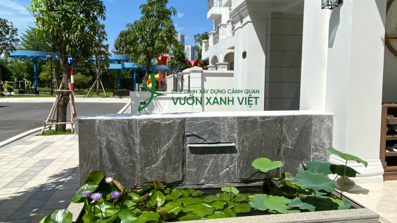 Thiết Kế Thi Công Tiểu Cảnh