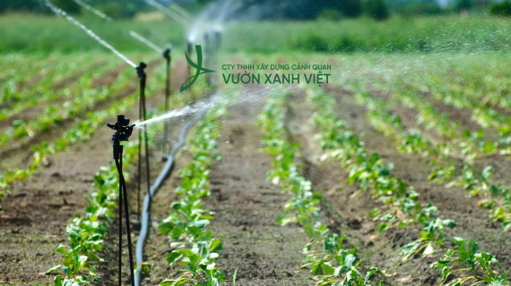 Tư Vấn & Lắp Đặt Hệ Thống Tưới Tự Động