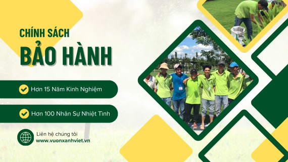 Chính Sách Bảo Hành