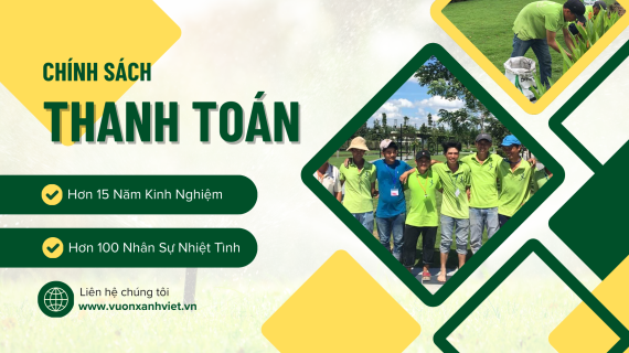 Chính Sách Thanh Toán