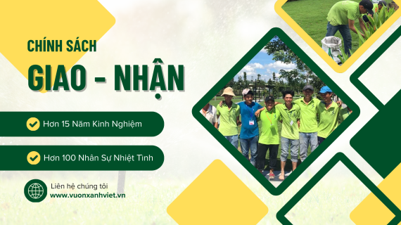 Chính Sách Giao - Nhận Hàng