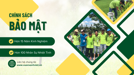 Chính Sách Bảo Mật Thông Tin