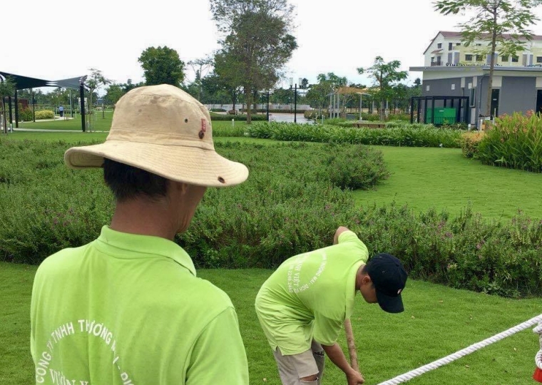 Công Trình Phủ Xanh Cho Khuôn Viên