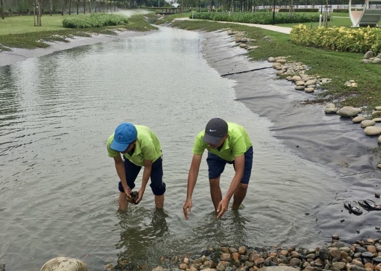 Công Trình Phủ Xanh Cho Khuôn Viên